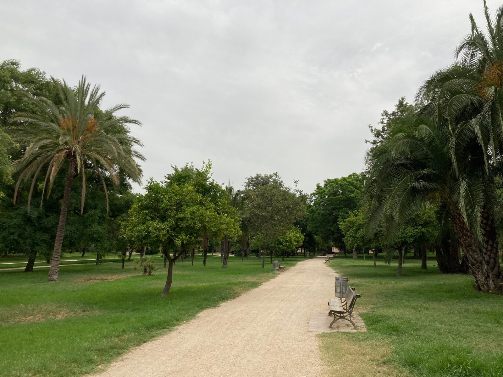 Les Jardins du Turia, Valence.